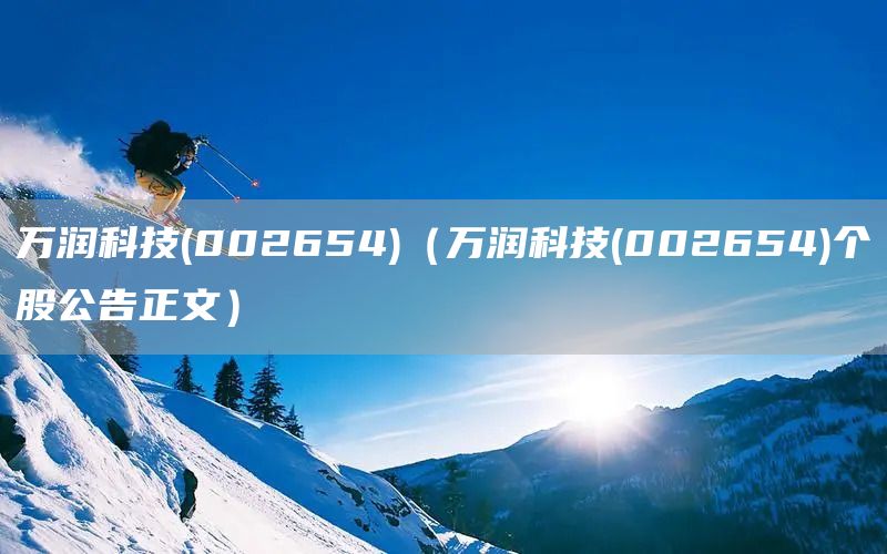 萬潤科技(002654)（萬潤科技(002654)個股公告正文）(圖1)