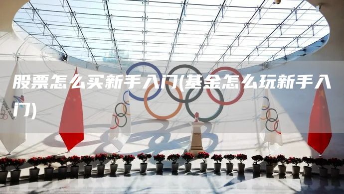 股票怎么買新手入門(基金怎么玩新手入門)(圖1)